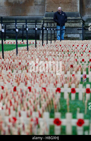 London, UK. 12. November 2016. Ein Mann schaut Mohn Blütenblätter und Kreuze auf dem Feld des Gedenkens in der Westminster Abbey in London, Großbritannien am 12. November 2016, einen Tag nach dem Tag des Waffenstillstands, der markiert das Ende des ersten Weltkrieges im Jahre 1918. Hunderte von kleinen Kreuze mit Mohn Blütenblätter sind gepflanzt worden, in dem Bereich des Gedenkens zu britischen Soldatinnen und Soldaten, die im Konflikt ihr Leben verloren haben, Tribut zollen. © Han Yan/Xinhua/Alamy Live-Nachrichten Stockfoto