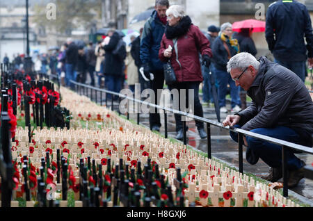 London, UK. 12. November 2016. Ein Mann schaut Mohn Blütenblätter und Kreuze auf dem Feld des Gedenkens in der Westminster Abbey in London, Großbritannien am 12. November 2016, einen Tag nach dem Tag des Waffenstillstands, der markiert das Ende des ersten Weltkrieges im Jahre 1918. Hunderte von kleinen Kreuze mit Mohn Blütenblätter sind gepflanzt worden, in dem Bereich des Gedenkens zu britischen Soldatinnen und Soldaten, die im Konflikt ihr Leben verloren haben, Tribut zollen. © Han Yan/Xinhua/Alamy Live-Nachrichten Stockfoto