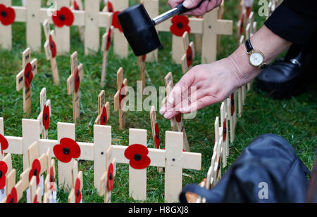 London, UK. 12. November 2016. Eine Frau setzt 12. November 2016, einen Tag nach dem Tag des Waffenstillstands, der markiert das Ende des ersten Weltkrieges im Jahre 1918 ein Kreuz mit Mohn Blütenblätter auf dem Feld des Gedenkens in der Westminster Abbey in London, Großbritannien. Hunderte von kleinen Kreuze mit Mohn Blütenblätter sind gepflanzt worden, in dem Bereich des Gedenkens zu britischen Soldatinnen und Soldaten, die im Konflikt ihr Leben verloren haben, Tribut zollen. © Han Yan/Xinhua/Alamy Live-Nachrichten Stockfoto