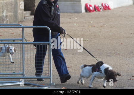 London UK.13th November 2016. Schweren polizeiliche Sicherheit für Erinnerung Sonntag Gedenkfeiern am Cenotaph in Whitehall Credit: Amer Ghazzal/Alamy Live-Nachrichten Stockfoto