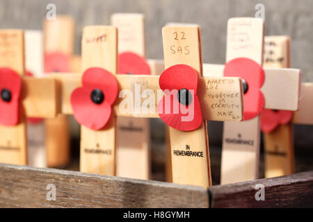 Kington, Herefordshire, England 13. November 2016. Eine individuelle Mohn und Kreuz daran WO1 Liam Collins 22 SAS (Special Air Service Regiment) auf das Kriegerdenkmal in Kington Herefordshire am Remembrance Day Sonntag gelegt. Foto-Steven Mai / Alamy Live News Stockfoto