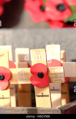 Kington, Herefordshire, England 13. November 2016. Eine individuelle Mohn und Kreuz daran WO1 Liam Collins 22 SAS (Special Air Service Regiment) auf das Kriegerdenkmal in Kington Herefordshire am Remembrance Day Sonntag gelegt. Foto-Steven Mai / Alamy Live News Stockfoto