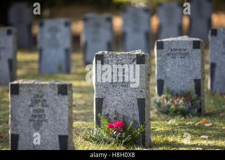 Ilmenau, Deutschland. 13. November 2016. Blume sind festgelegt auf eine Kriegsgräber für die Gefallenen des zweiten Weltkriegs bei einer Garveyard in Ilmenau, Deutschland, 13. November 2016. Foto: Michael Reichel/Dpa/Alamy Live News Stockfoto