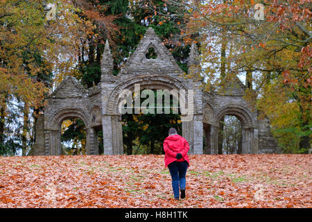 Shobdon, Herefordshire, England November 2016 - ein Wanderer genießt einen herbstlichen Spaziergang bei The Arches an einem feinen trockenen milder Novembertag. Shobdon Bögen bestehen aus einem zentralen Chorbogen und zwei Norman Türen entnommen der Innenraum von der ursprünglichen Kirche im Jahre 1756 und verlegt in der Nähe als eine Torheit. Eine Allee von Eichen führt zu The Arches einen Pfad nun durch ihre goldenen Laub abgedeckt. Stockfoto