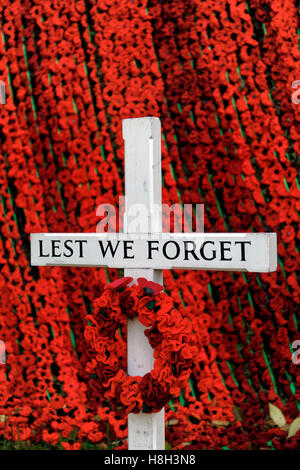 Warminster, Wiltshire, UK. 13. Nov 2016. Hand Mohnblumen in der Marktgemeinde Warminster, Wiltshire gestrickt, um Britische und Commonwealth gefallenen Soldaten Credit: Andrew Harker/Alamy Leben Nachrichten gedenken Stockfoto