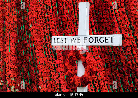 Warminster, Wiltshire, Großbritannien. November 2016. Handgestrickte Mohnblumen im Warminster Field of Remembrance vor der St. Lawrence Chapel in der Marktstadt Warminster, Wiltshire, zum Gedenken an die gefallenen britischen und Commonwealth-Soldaten Credit: Andrew Harker/Alamy Live News Stockfoto