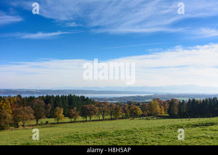 Tutzing: Starnberger See (Starnberger See), Zeile Buchenwald, Alpen, Oberbayern, Oberbayern, Bayern, Bayern, Deutschland Stockfoto