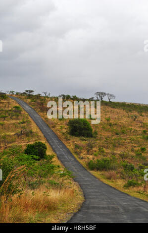 Safari in Südafrika, grüne Savanne: afrikanische Landschaft im Hluhluwe Imfolozi Game Reserve, das älteste Naturschutzgebiet in Afrika seit 1895 Stockfoto