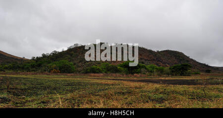 Safari in Südafrika, grüne Savanne: afrikanische Landschaft im Hluhluwe Imfolozi Game Reserve, das älteste Naturschutzgebiet in Afrika seit 1895 Stockfoto