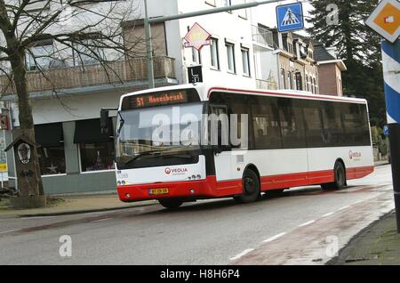 Bus reisen auf Broekhem im Markt Stadt Valkenburg Aan de Geul Niederlande NL 2016 Stockfoto