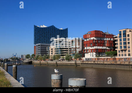 Elbphilharmonie Concert Hall und Häuser am Dalmannkai (Grasbrookhafen), Hafencity, Hamburg, Deutschland, Europa Stockfoto