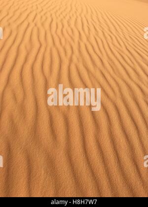 Unbegrenzte leere Wüste Panorama von Nordafrika Bechar Algerien, Taghit Sandwüste Stockfoto