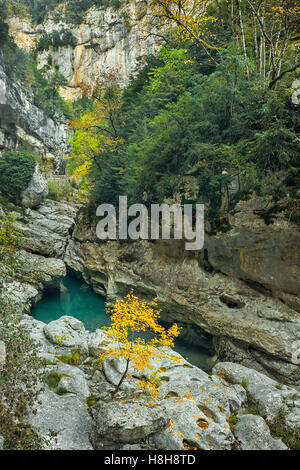 Herbst am Anisclo Canyon. Nationalpark Ordesa und Monte Perdido.Aragon. Spanien. Stockfoto