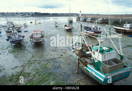 Angelboote/Fischerboote im Hafen, bei Ebbe, Fischkuttern, Fischereiwesen Erquy, Bretagne, Frankreich, Europa Stockfoto