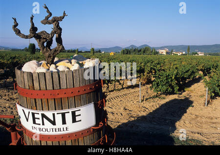 Werbung für Wein auf Verkauf, Weinberg, Weinbau, Wein, in der Nähe von Violes, Côtes du Rhône, Provence, Frankreich Stockfoto