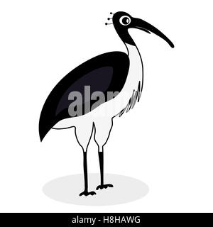 Ibis schwarz weißen Vogel. Ibis Vogel und weißes Ibis, Vektor-illustration Stockfoto