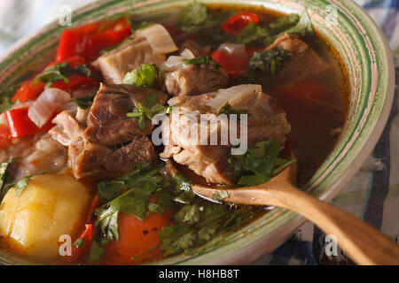 dicke Suppe vom Lamm mit Gemüse auf den Teller-Makro. horizontale Stockfoto