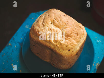 Frisch gebackenes Brot Zwiebel auf einen Teller Stockfoto