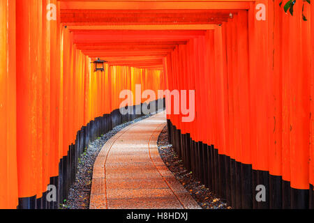 Kyoto, Japan. Die Tore in der Fushimi Inari-Schrein. Stockfoto