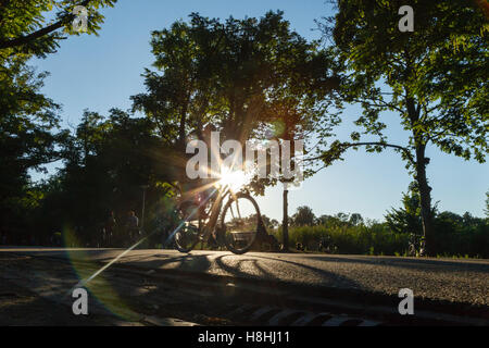 Ein Radfahrer in den Vondelpark, gegen die Abendsonne silhouetted, Amsterdam Stockfoto