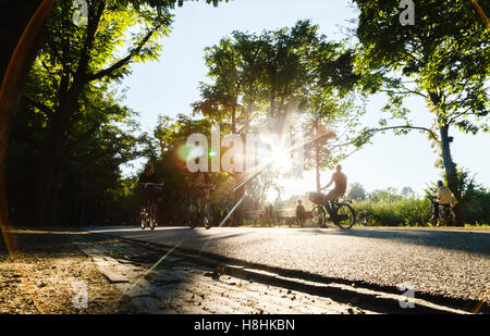 Radfahrer im Vondelpark in Amsterdam, Silhouette gegen die Sonne. Stockfoto