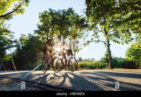 Radfahrer im Vondelpark in Amsterdam, Silhouette gegen die Sonne. Stockfoto