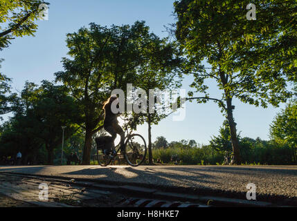 Eine Frau Radfahren im Vondelpark in Amsterdam, Silhouette gegen die Sonne. Stockfoto