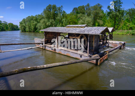 Traditionelle Vintage Mühle am Fluss Mura, Slowenien. Die Mühle schwebt auf Booten und an Flussufer gebunden und wird durch eine Wasser angetrieben Stockfoto