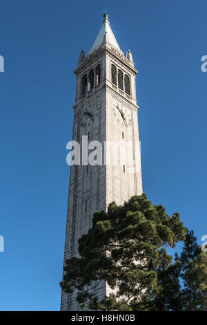 Das Campanile in Berkeley, Kalifornien Stockfoto