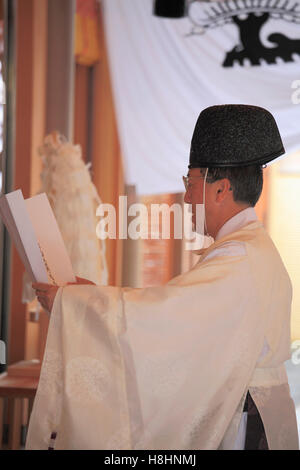 Japan, Kyoto, Zuiki Festival, Kabuto kein Gokuhosen Zeremonie, Shinto Priester, Stockfoto