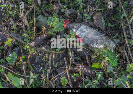 Verworfen Soft drink Flasche in einem Land Hecke gesehen. Kunststoffabfälle, Krieg auf Kunststoff Konzept. Metapher Umweltverschmutzung, plastik Müll. Stockfoto