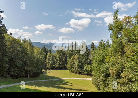 Wald und grünen Wiese im slowenischen Berge Stockfoto