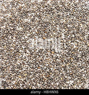 Chia-Samen quadratische Format, füllen das Bild ideal für Lebensmittel Hintergründe und Texturen Stockfoto