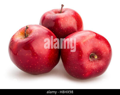 rote Äpfel isoliert Stockfoto