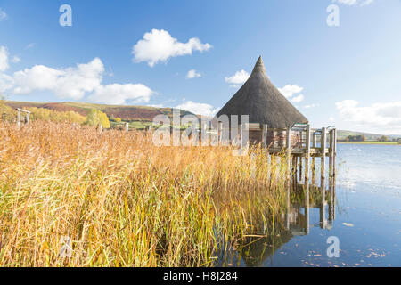 Crannog am Llangorse See, "Llyn Syfaddon" im Herbst Licht des frühen Morgens, rekonstruiert, Brecon Beacons National Park, Wales, UK Stockfoto