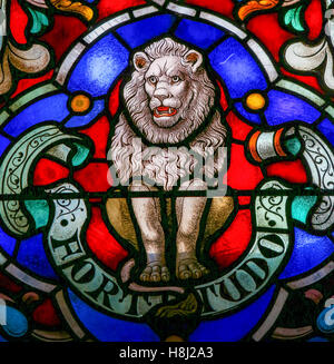 Glasmalerei-Fenster zeigt einen Löwen als Symbol der Stärke (Fortitudo in lateinischer Sprache) in der Kathedrale von Saint Rumbold in Mechel Stockfoto