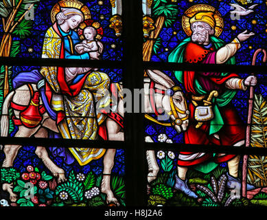 Glasmalerei-Fenster Darstellung Joseph, Maria und Jesus und der Flucht nach Ägypten in der Kathedrale von St Rumbold von Mechelen, Belgien Stockfoto