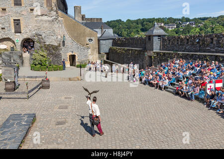 Raubvogel-Show in der mittelalterlichen Burg von Bouillon, Belgien Stockfoto