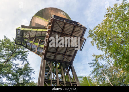 Wald des niederländischen Nationalpark Veluwe mit Wachturm in der Nähe von Dorf Putten Stockfoto