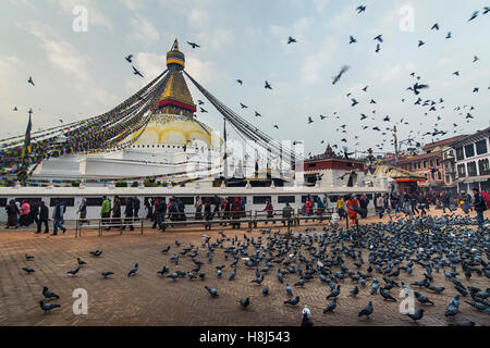 Boudhanath Stupa in der früh Stockfoto