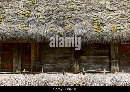 Architektur Detail eines alten Hauses mit traditionellen Reetdach Stockfoto