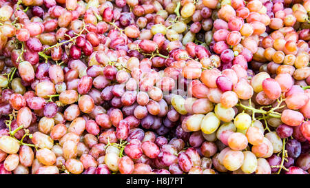 Rote Trauben am Bauernmarkt Stockfoto