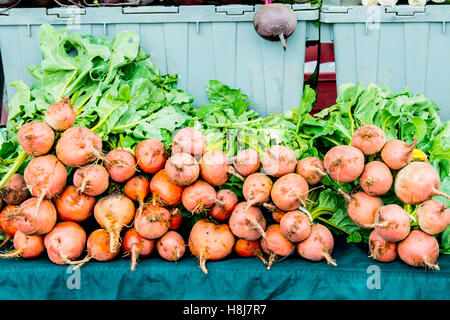 Golden Rüben in Farmers Market Stockfoto