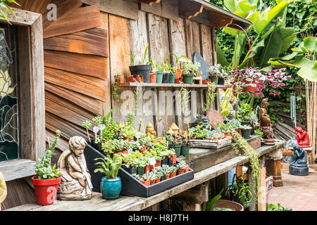 Carmel Gasse Carmel Secret Garden Stockfoto