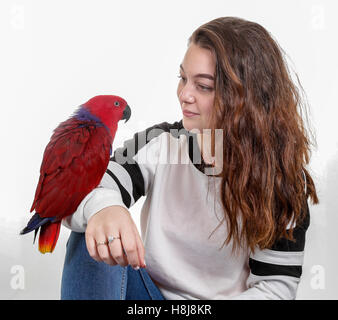 Hübsche Caucsian Teenager-Mädchen mit einem hübschen roten Papagei auf dem arm Stockfoto