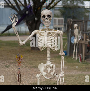 Skelett als Dekoration für Halloween in einer Kleinstadt West Texas verwendet. Stockfoto