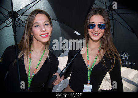 Valencia, Spanien. 12. November 2016. Paddock Girls Sitzungen von Motul GP Valencia im Zeittraining. Bildnachweis: Jose Breton/Pacific Press/Alamy Live-Nachrichten Stockfoto