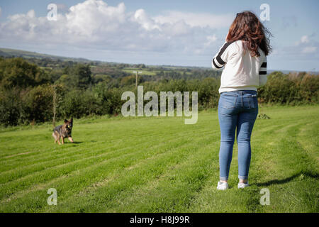 Junge Frau wirft einen Ball für ihren Hund einen deutschen Schäferhund. Stockfoto