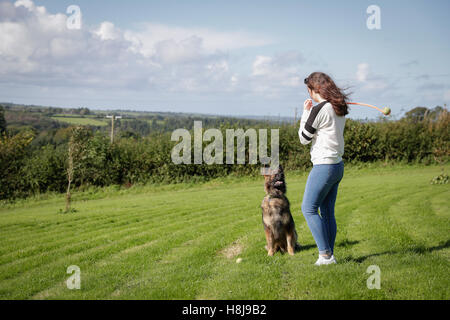 Gehorsamer Hund sitzt geduldig wartet auf seinen Besitzer durch seinen ball Stockfoto