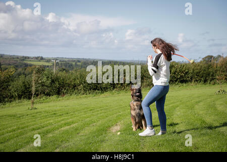 Junge Frau wirft einen Ball für ihren Hund einen deutschen Schäferhund. Stockfoto